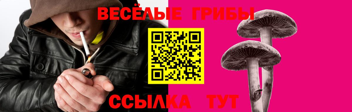 Реж  Галлюциногенные грибы Cubensis  Псилоцибиновые грибы ЛСД  Вход с VPN 